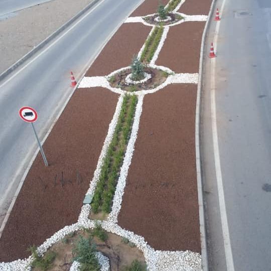 95838280_3306956349338692_3684389200397860864_n