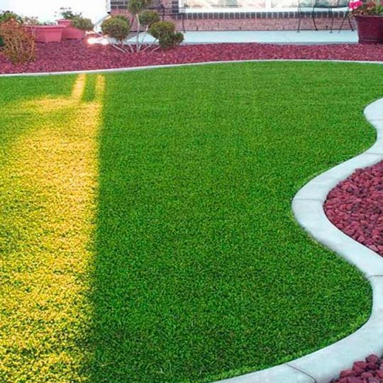 iskusstvennyi-gazon8